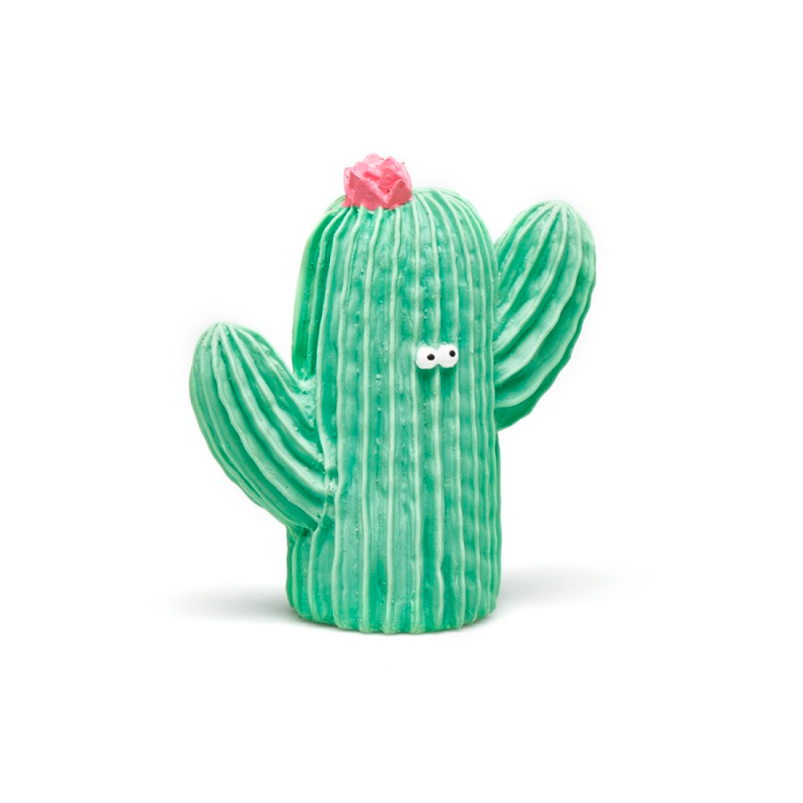 Mordedor Cactus Frijolito